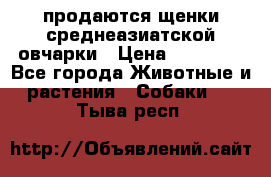 продаются щенки среднеазиатской овчарки › Цена ­ 30 000 - Все города Животные и растения » Собаки   . Тыва респ.